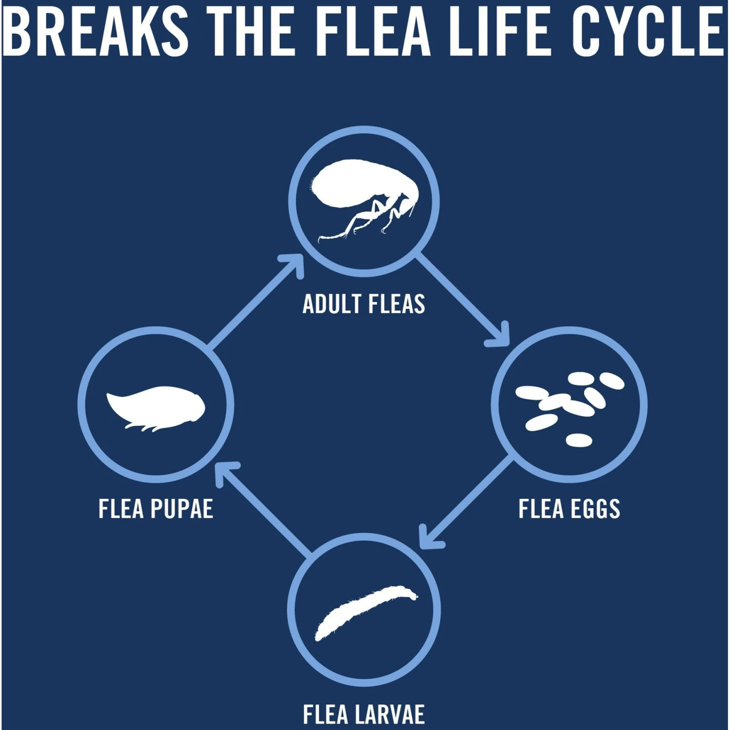 PetArmor Plus Flea & Tick Spot Treatment For Dogs, 45-88 Lbs 7 PetArmor Plus Flea & Tick Spot Treatment For Dogs, 45-88 Lbs - Image 5