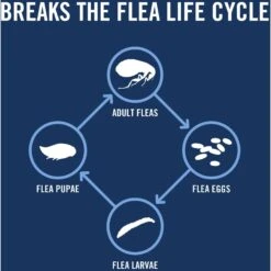 PetArmor Plus Flea & Tick Spot Treatment For Dogs, 23-44 Lbs -Snuggle Paws 154774 PT4. AC SS1800 V1701361430