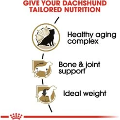Royal Canin Breed Health Nutrition Dachshund Adult 8+ Dry Dog Food -Snuggle Paws 154778 PT4. AC SS1800 V1695218670