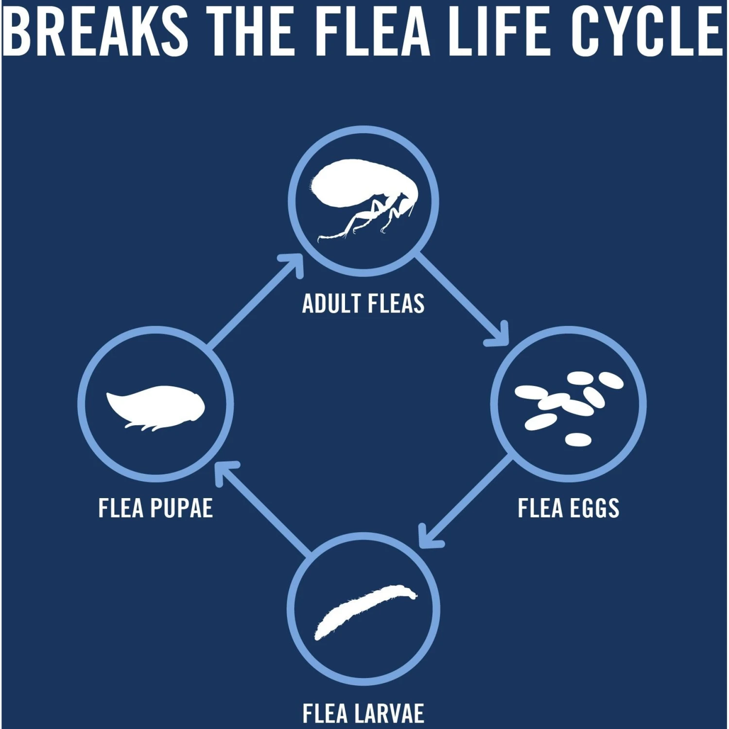 PetArmor Plus Flea & Tick Spot Treatment For Dogs, 89-132 Lbs 7 PetArmor Plus Flea & Tick Spot Treatment For Dogs, 89-132 Lbs - Image 5