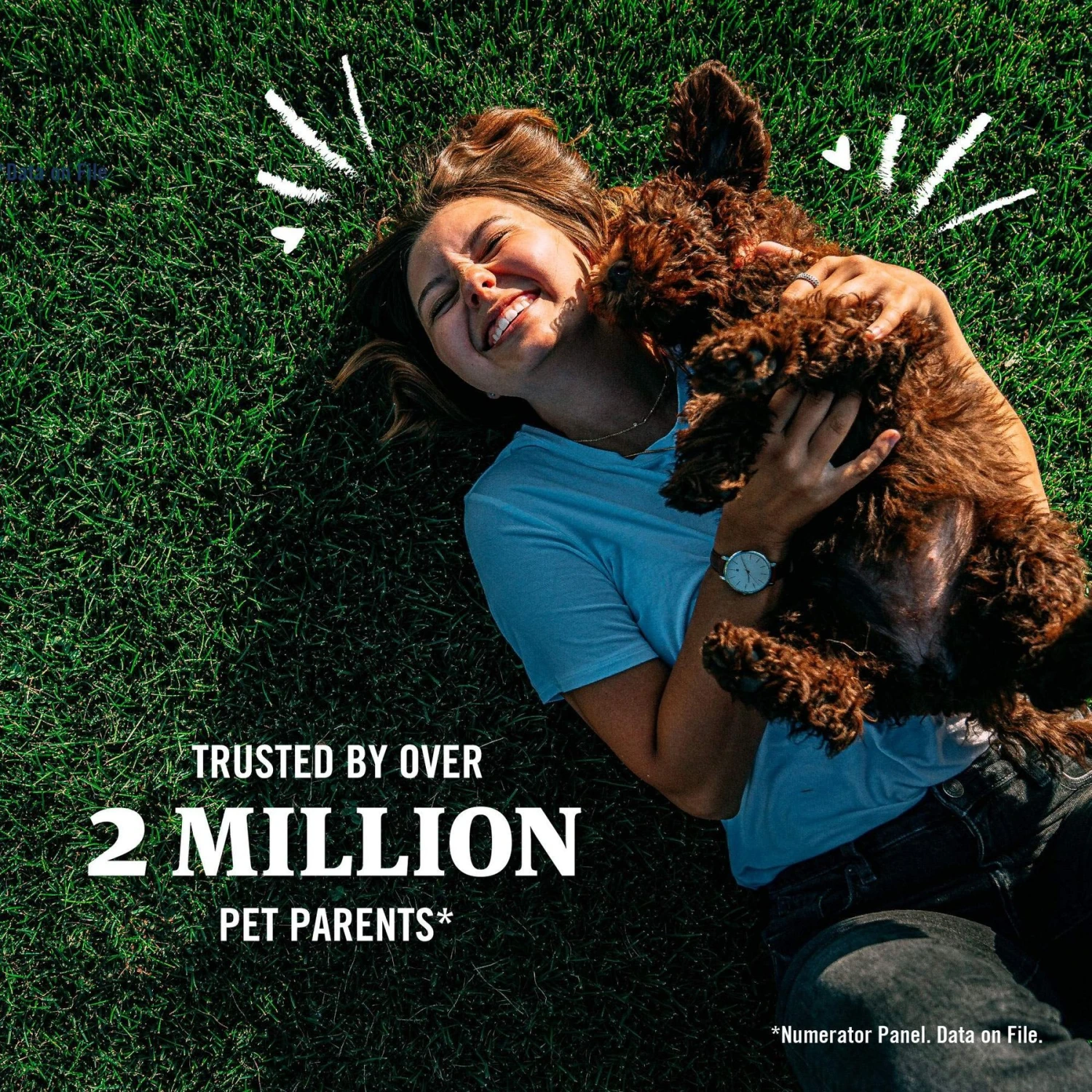 PetArmor Plus Flea & Tick Spot Treatment For Dogs, 89-132 Lbs 11 PetArmor Plus Flea & Tick Spot Treatment For Dogs, 89-132 Lbs - Image 9