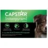 Capstar Flea Oral Treatment For Dogs, Over 25 Lbs -Snuggle Paws 154854 MAIN. AC SS1800 V1693491396