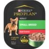 Purina Pro Plan Focus Small Breed Beef Entree Grain-Free Wet Dog Food -Snuggle Paws 156343 MAIN. AC SS1800 V1669907937