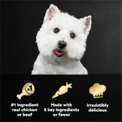 Cesar Simply Crafted Variety Pack Chicken, Carrots, Potatoes & Peas & Beef, Chicken, Purple Potatoes, Green Beans & Red Rice Adult Wet Dog Food Topper 18 Cesar Simply Crafted Variety Pack Chicken, Carrots, Potatoes & Peas & Beef, Chicken, Purple Potatoes, Green Beans & Red Rice Adult Wet Dog Food Topper -Snuggle Paws 156811 PT7. AC SS1800 V1695674578