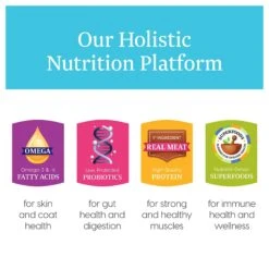 Solid Gold Love At First Bark Beef, Potatoes & Apples Puppy Recipe Grain-Free Canned Dog Food -Snuggle Paws 157130 PT2. AC SS1800 V1547218977