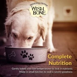 Wishbone Graze Grain-Free Dry Dog Food 12 Wishbone Graze Grain-Free Dry Dog Food -Snuggle Paws 157494 PT5. AC SS1800 V1582834101