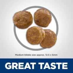 Hill's Science Diet Adult Sensitive Stomach & Sensitive Skin Grain-Free Chicken & Potato Recipe Dry Dog Food -Snuggle Paws 157795 PT2. AC SS1800 V1607994747