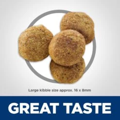 Hill's Science Diet Adult Large Breed Light With Chicken Meal & Barley Dry Dog Food 13 Hill's Science Diet Adult Large Breed Light With Chicken Meal & Barley Dry Dog Food -Snuggle Paws 157806 PT2. AC SS1800 V1609382876