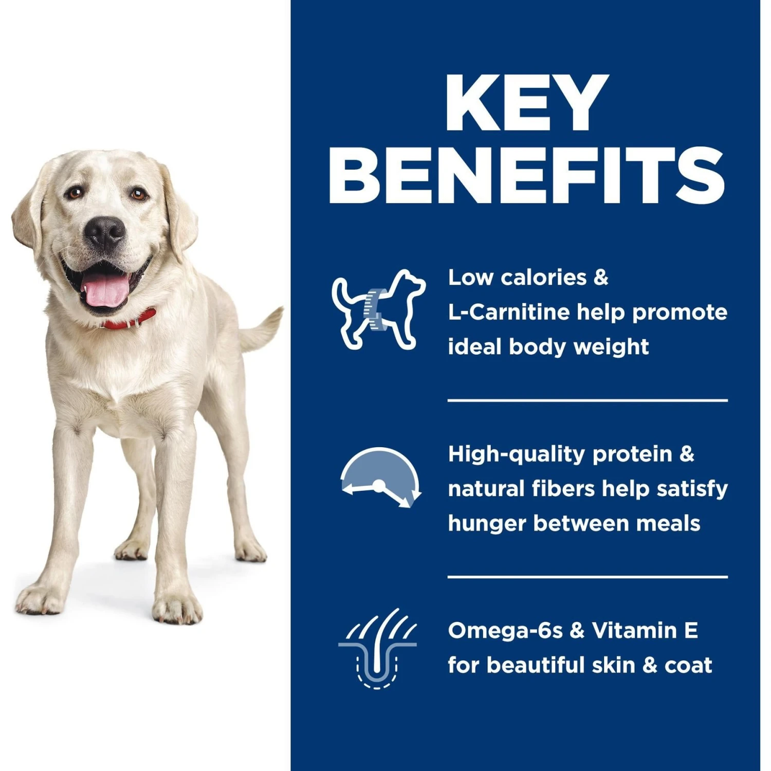 Hill's Science Diet Adult Large Breed Light With Chicken Meal & Barley Dry Dog Food 7 Hill's Science Diet Adult Large Breed Light With Chicken Meal & Barley Dry Dog Food - Image 5