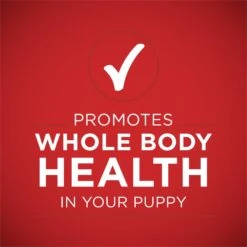 Purina ONE +Plus Classic Ground Healthy Puppy Lamb & Long Grain Rice Entree Canned Dog Food -Snuggle Paws 158418 PT6. AC SS1800 V1668810154