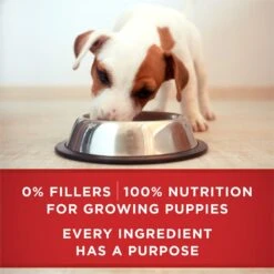Purina ONE +Plus Classic Ground Healthy Puppy Lamb & Long Grain Rice Entree Canned Dog Food -Snuggle Paws 158418 PT7. AC SS1800 V1668810154