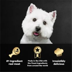 Cesar Breakfast Classic Loaf In Sauce Variety Pack Small Breed Adult Wet Dog Food Trays -Snuggle Paws 159227 PT4. AC SS1800 V1695676353