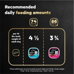 Cesar Breakfast Classic Loaf In Sauce Variety Pack Small Breed Adult Wet Dog Food Trays -Snuggle Paws 159227 PT6. AC SS1800 V1695666301