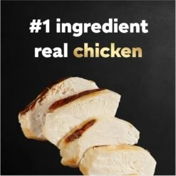 Cesar Rotisserie Chicken Flavor Filets In Gravy Small Breed Adult Wet Dog Food Trays -Snuggle Paws 159233 PT3. AC SS1800 V1695656613