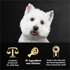 Cesar Rotisserie Chicken Flavor Filets In Gravy Small Breed Adult Wet Dog Food Trays -Snuggle Paws 159233 PT4. AC SS1800 V1695656613