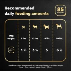 Cesar Rotisserie Chicken Flavor Filets In Gravy Small Breed Adult Wet Dog Food Trays -Snuggle Paws 159233 PT6. AC SS1800 V1695656612