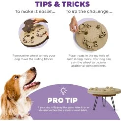 Nina Ottosson By Outward Hound Hide N' Slide Puzzle Game Dog Toy -Snuggle Paws 159428 PT3. AC SS1800 V1694287373