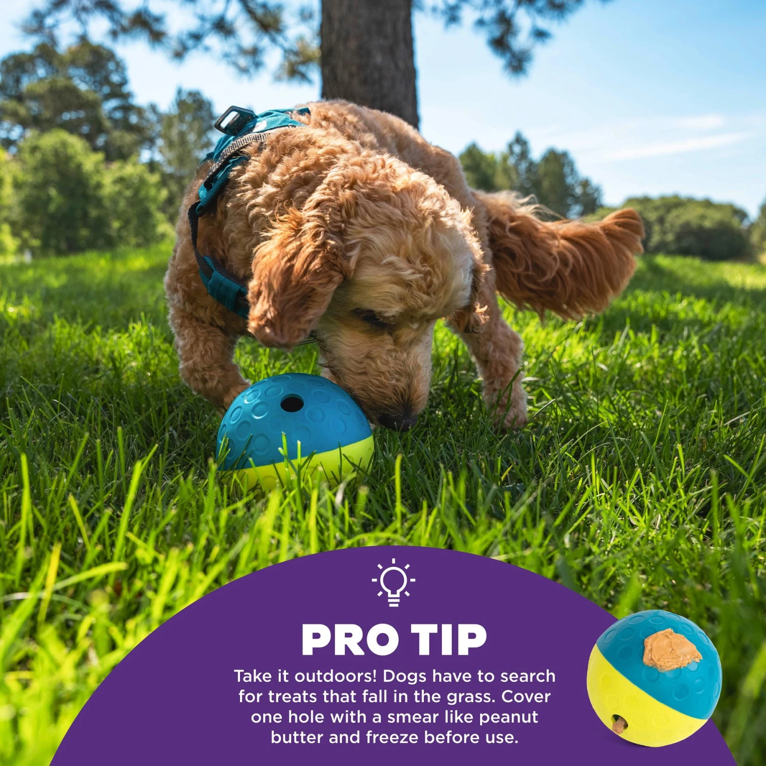 Nina Ottosson By Outward Hound Treat Tumble Puzzle Game Dog Toy 6 Nina Ottosson By Outward Hound Treat Tumble Puzzle Game Dog Toy - Image 4