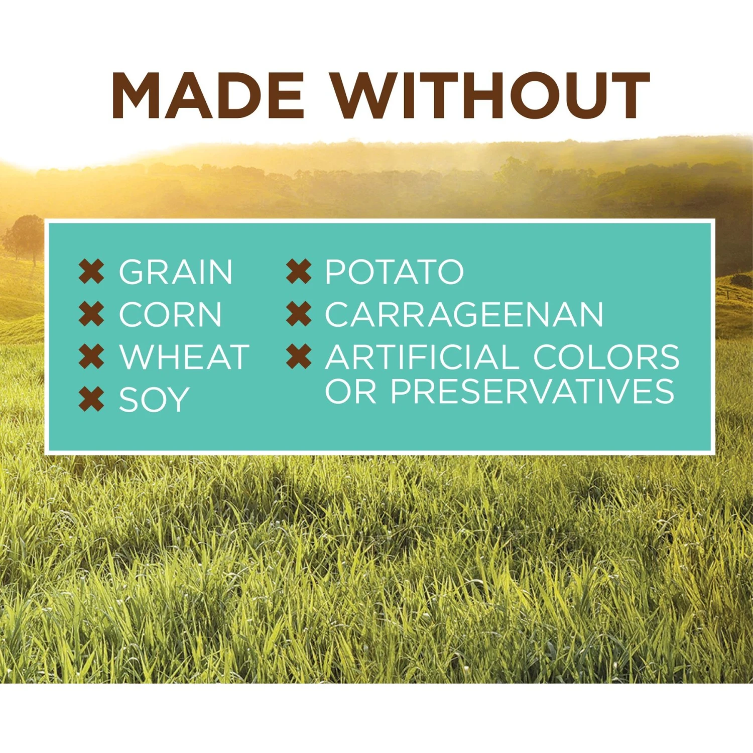 Instinct Original Puppy Grain-Free Real Chicken Recipe Wet Canned Dog Food 6 Instinct Original Puppy Grain-Free Real Chicken Recipe Wet Canned Dog Food - Image 4