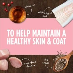 Instinct Freeze-Dried Raw Boost Mixers Grain-Free Skin & Coat Health Recipe Dog Food Topper -Snuggle Paws 160782 PT3. AC SS1800 V1690554597