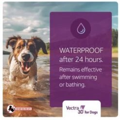 Vectra 3D Flea & Tick Spot Treatment For Dogs, 11-20 Lbs 19 Vectra 3D Flea & Tick Spot Treatment For Dogs, 11-20 Lbs -Snuggle Paws 162722 PT8. AC SS1800 V1689886376