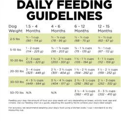 Go! Solutions Carnivore Grain-Free Chicken, Turkey + Duck Puppy Recipe Dry Dog Food -Snuggle Paws 162809 PT7. AC SS1800 V1638491220