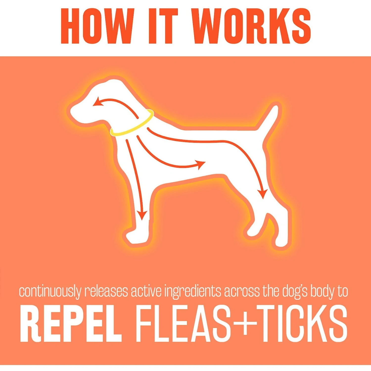 TropiClean Flea & Tick Collar For Dogs Small & Medium Breeds 8 TropiClean Flea & Tick Collar For Dogs Small & Medium Breeds - Image 6