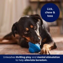 Frisco Flying Saucer Rubber Treat Dispenser Dog Toy 14 Frisco Flying Saucer Rubber Treat Dispenser Dog Toy -Snuggle Paws 164757 PT5. AC SS1800 V1691784247