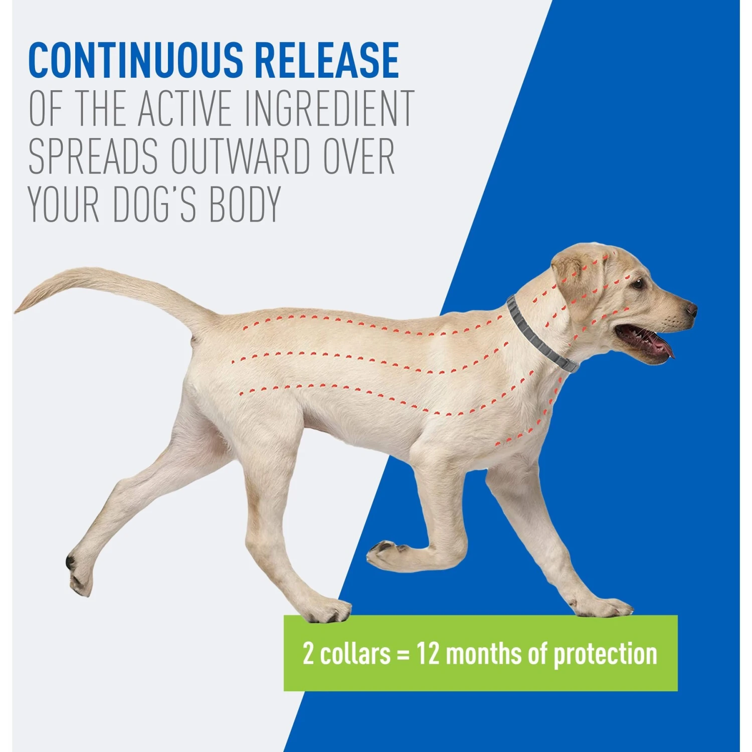 Adams® Adams Flea & Tick Collar For Dogs & Puppies 6 Adams® Adams Flea & Tick Collar For Dogs & Puppies - Image 4