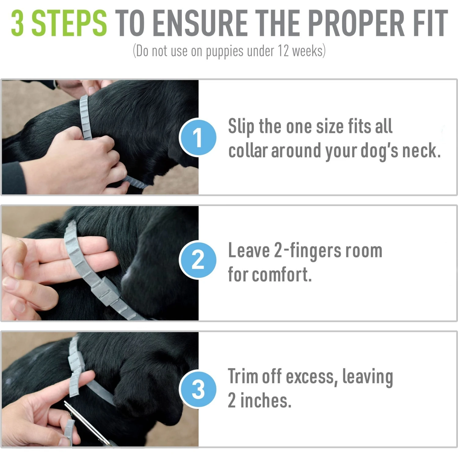 Adams® Adams Flea & Tick Collar For Dogs & Puppies 9 Adams® Adams Flea & Tick Collar For Dogs & Puppies - Image 7