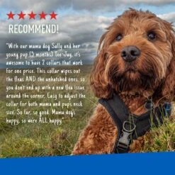 Adams® Adams Flea & Tick Collar For Dogs & Puppies 18 Adams® Adams Flea & Tick Collar For Dogs & Puppies -Snuggle Paws 165795 PT7. AC SS1800 V1679081961