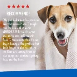 Adams® Adams Plus Flea & Tick Shampoo With Precor 18 Adams® Adams Plus Flea & Tick Shampoo With Precor -Snuggle Paws 165927 PT7. AC SS1800 V1675702665