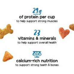 Purina Beneful Healthy Puppy With Farm Raised Chicken High Protein Dry Dog Food 13 Purina Beneful Healthy Puppy With Farm Raised Chicken High Protein Dry Dog Food -Snuggle Paws 173762 PT2. AC SS1800 V1695836098