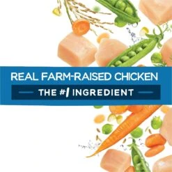 Purina Beneful Healthy Puppy With Farm Raised Chicken High Protein Dry Dog Food 17 Purina Beneful Healthy Puppy With Farm Raised Chicken High Protein Dry Dog Food -Snuggle Paws 173762 PT6. AC SS1800 V1695736852
