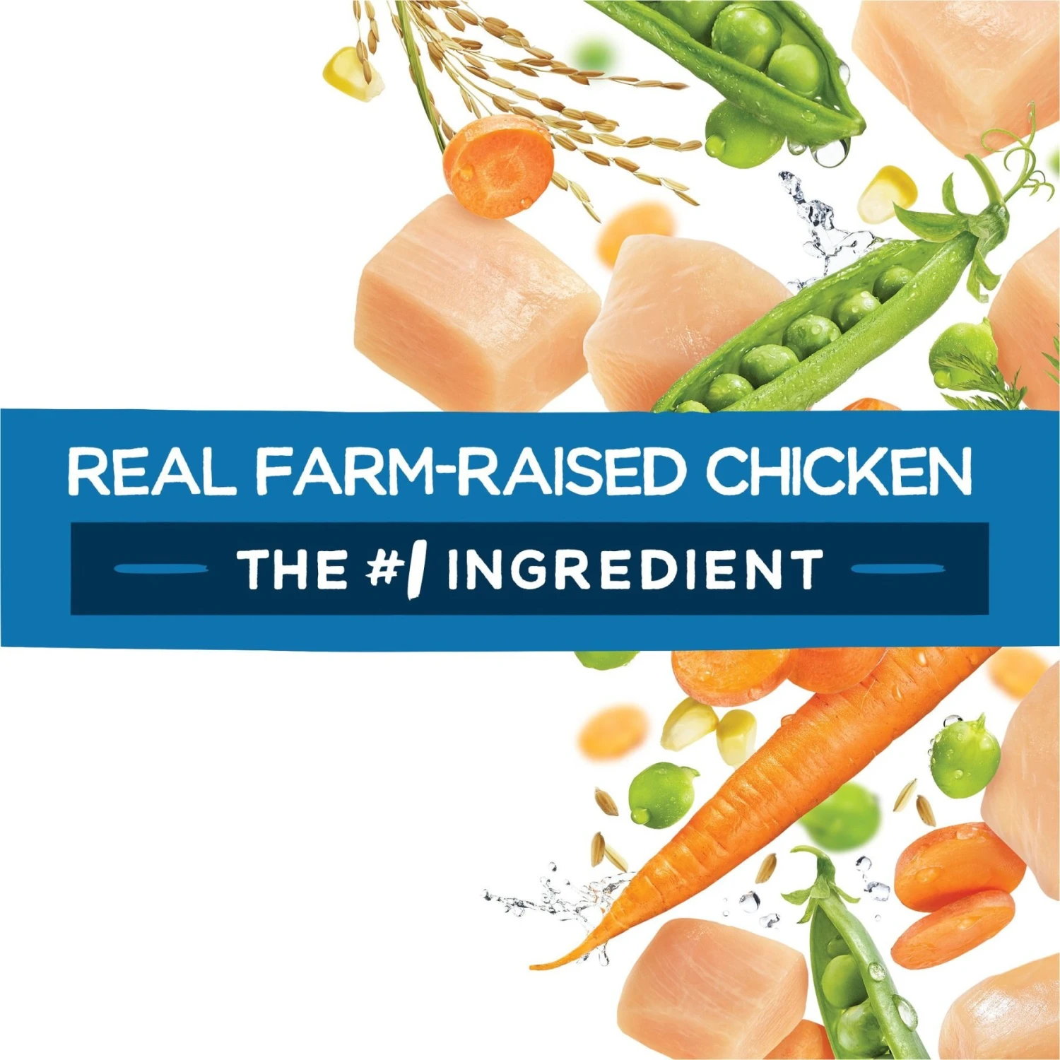 Purina Beneful Healthy Puppy With Farm Raised Chicken High Protein Dry Dog Food 9 Purina Beneful Healthy Puppy With Farm Raised Chicken High Protein Dry Dog Food - Image 7