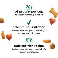 Purina Beneful IncrediBites With Farm-Raised Beef Small Breed Dry Dog Food 13 Purina Beneful IncrediBites With Farm-Raised Beef Small Breed Dry Dog Food -Snuggle Paws 173763 PT2. AC SS1800 V1695846582