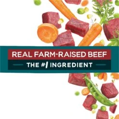 Purina Beneful IncrediBites With Farm-Raised Beef Small Breed Dry Dog Food 17 Purina Beneful IncrediBites With Farm-Raised Beef Small Breed Dry Dog Food -Snuggle Paws 173763 PT6. AC SS1800 V1695737456