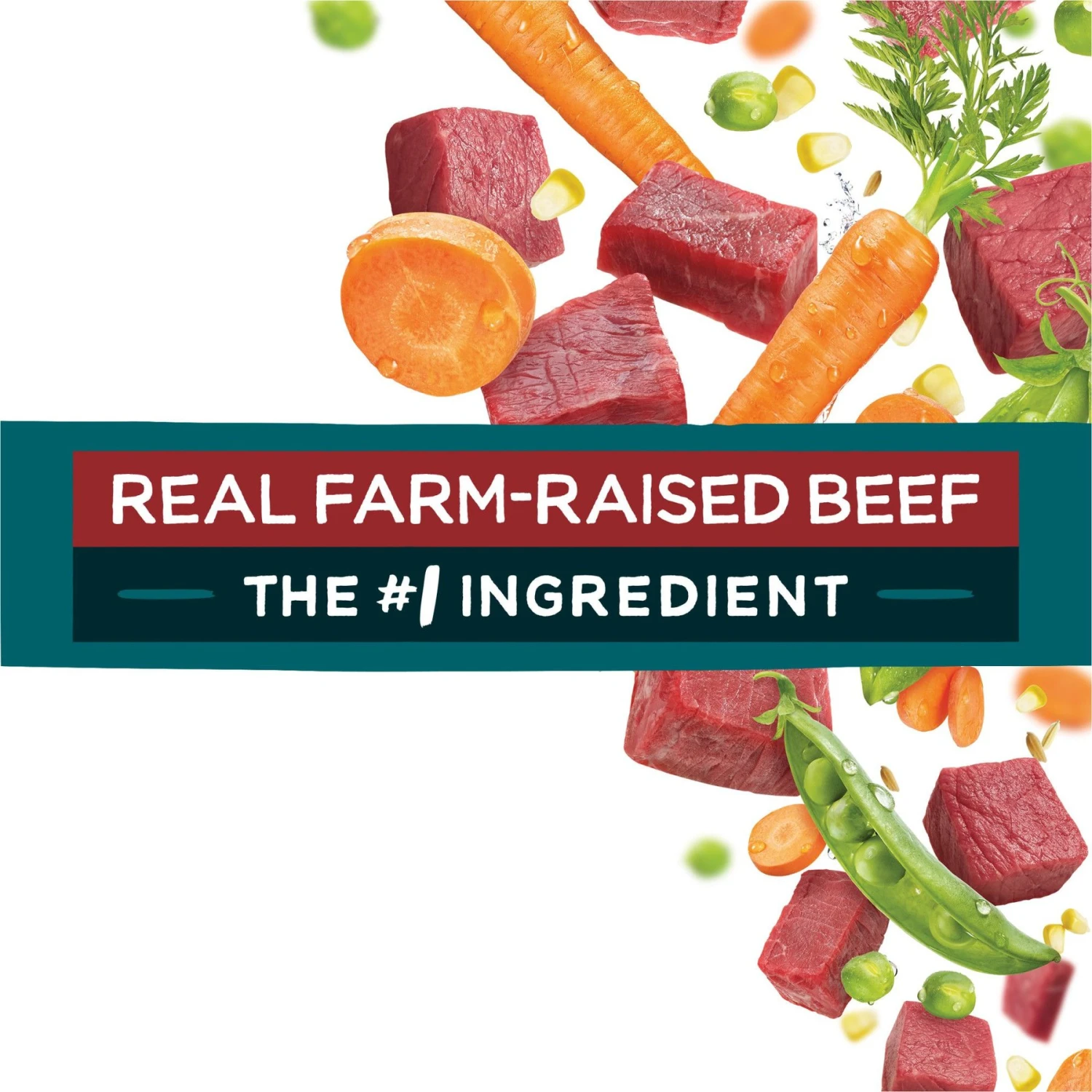 Purina Beneful IncrediBites With Farm-Raised Beef Small Breed Dry Dog Food 9 Purina Beneful IncrediBites With Farm-Raised Beef Small Breed Dry Dog Food - Image 7