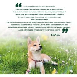 Pawtitas Organic Eucalyptus & Spearmint Dog Deodorant -Snuggle Paws 173813 PT7. AC SS1800 V1660706001