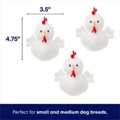 Frisco Chicken Coop Hide & Seek Puzzle Plush Squeaky Dog Toy 10 Frisco Chicken Coop Hide & Seek Puzzle Plush Squeaky Dog Toy -Snuggle Paws 174755 PT2. AC SS1800 V1691783968