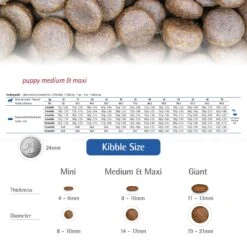 Farmina N&D Ancestral Grain Chicken & Pomegranate Medium & Maxi Puppy Dry Dog Food 13 Farmina N&D Ancestral Grain Chicken & Pomegranate Medium & Maxi Puppy Dry Dog Food -Snuggle Paws 175528 PT5. AC SS1800 V1679329937