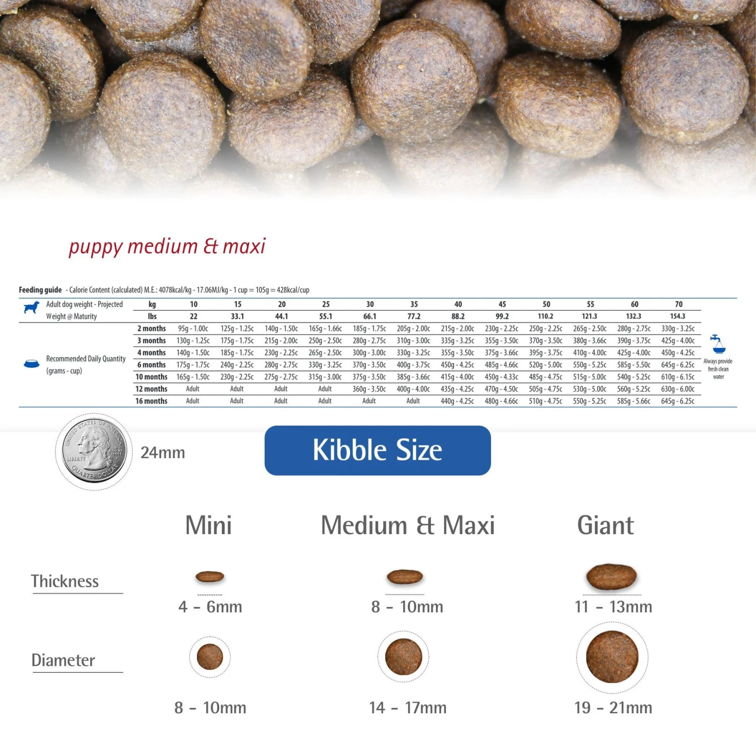 Farmina N&D Ancestral Grain Chicken & Pomegranate Medium & Maxi Puppy Dry Dog Food 7 Farmina N&D Ancestral Grain Chicken & Pomegranate Medium & Maxi Puppy Dry Dog Food - Image 5