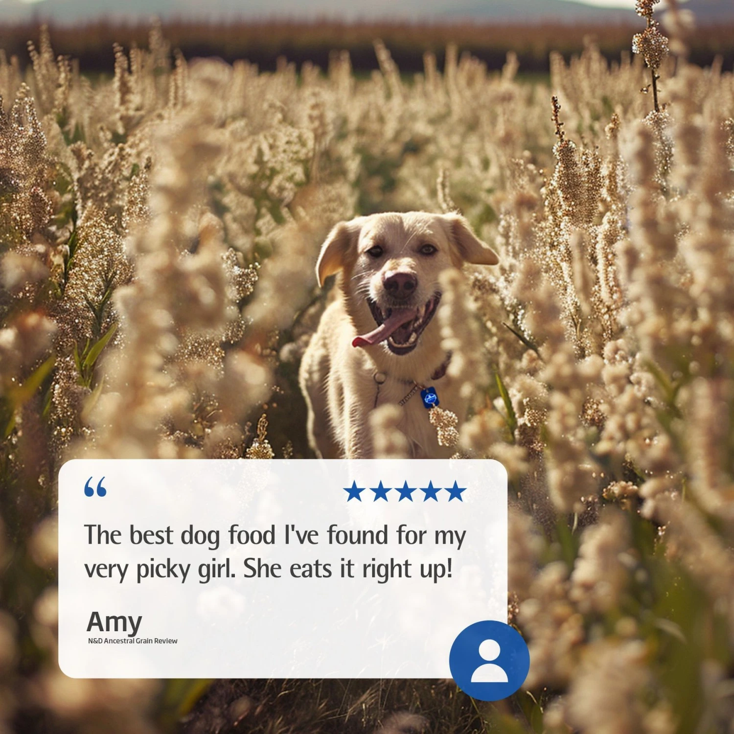 Farmina N&D Ancestral Grain Chicken & Pomegranate Medium & Maxi Puppy Dry Dog Food 9 Farmina N&D Ancestral Grain Chicken & Pomegranate Medium & Maxi Puppy Dry Dog Food - Image 7