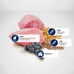 Farmina N&D Ancestral Grain Lamb & Blueberry Medium & Maxi Adult Dry Dog Food 12 Farmina N&D Ancestral Grain Lamb & Blueberry Medium & Maxi Adult Dry Dog Food -Snuggle Paws 175530 PT4. AC SS1800 V1591127791