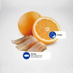 Farmina N&D Ocean Herring & Orange Medium & Maxi Adult Grain-Free Dry Dog Food -Snuggle Paws 175543 PT4. AC SS1800 V1591128101