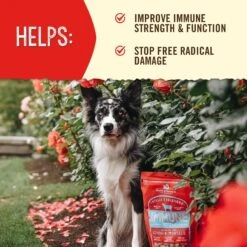 Stella & Chewy's Stella's Solutions Immune Boost Freeze-Dried Raw Grass-Fed Lamb Dinner Morsels Dog Food 7 Stella & Chewy's Stella's Solutions Immune Boost Freeze-Dried Raw Grass-Fed Lamb Dinner Morsels Dog Food -Snuggle Paws 176517 PT3. AC SS1800 V1680640378