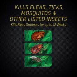 Black Flag Flea & Tick Killer Concentrate Yard Treatment -Snuggle Paws 180087 PT4. AC SS1800 V1563285439