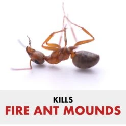 Spectracide Fire Ant Shield Mound Destroyer Granules -Snuggle Paws 180125 PT2. AC SS1800 V1563808359