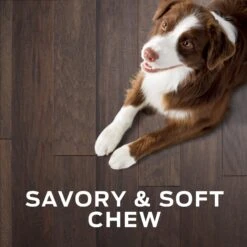 Purina Pro Plan Veterinary Diets Digestive Health Bites Soft & Chewy Dog Treats 18 Purina Pro Plan Veterinary Diets Digestive Health Bites Soft & Chewy Dog Treats -Snuggle Paws 180381 PT7. AC SS1800 V1699367689