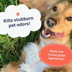 Petpost Pet Odor Eliminator Spray -Snuggle Paws 181142 PT2. AC SS1800 V1564597364